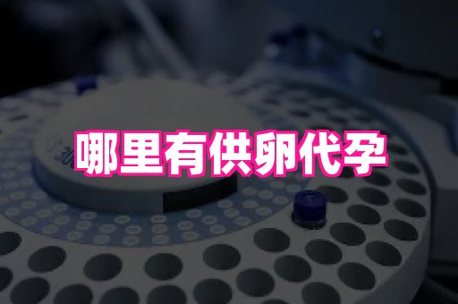 南昌助孕网 4